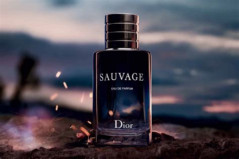 dior sauvage rainy day|dior sauvage perfume collection.